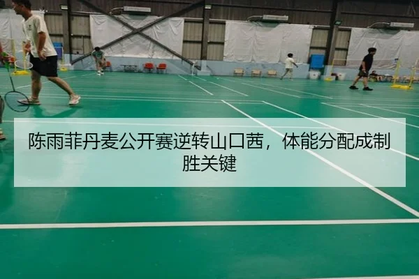 陈雨菲丹麦公开赛逆转山口茜，体能分配成制胜关键
