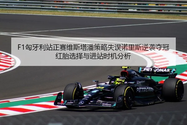 F1匈牙利站正赛维斯塔潘策略失误诺里斯逆袭夺冠红胎选择与进站时机分析